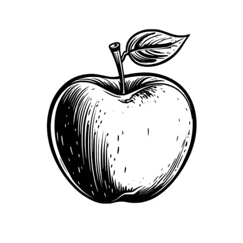 Apple Fruit Silhouette SVG Design | SVG Files for Cricut & Print