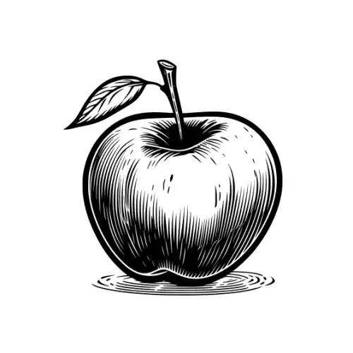 Apple Fruit Silhouette SVG Design | SVG Files for Cricut & Print