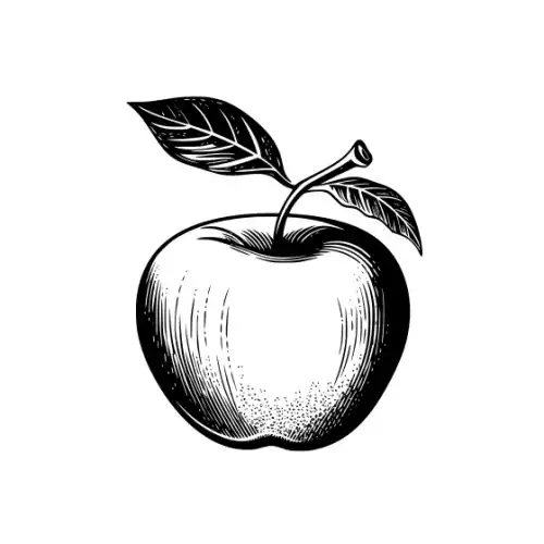 Apple Fruit Silhouette SVG Design | SVG Files for Cricut & Print
