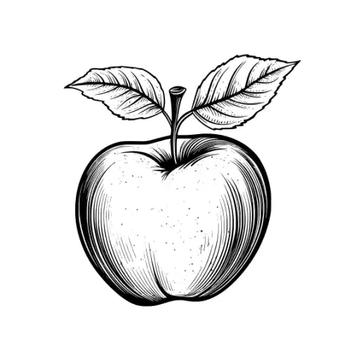 Apple Fruit Silhouette SVG Design | SVG Files for Cricut & Print