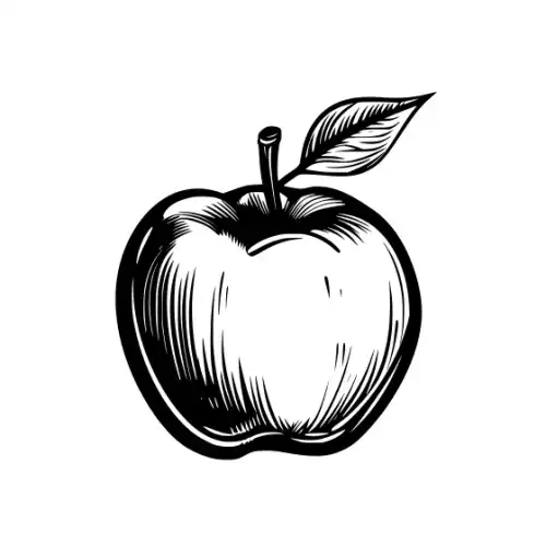 Apple Fruit Silhouette SVG Design | SVG Files for Cricut & Print