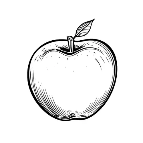 Apple Fruit Silhouette SVG Design | SVG Files for Cricut & Print