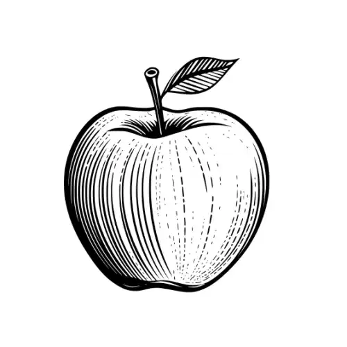 Apple Fruit Silhouette SVG Design | SVG Files for Cricut & Print