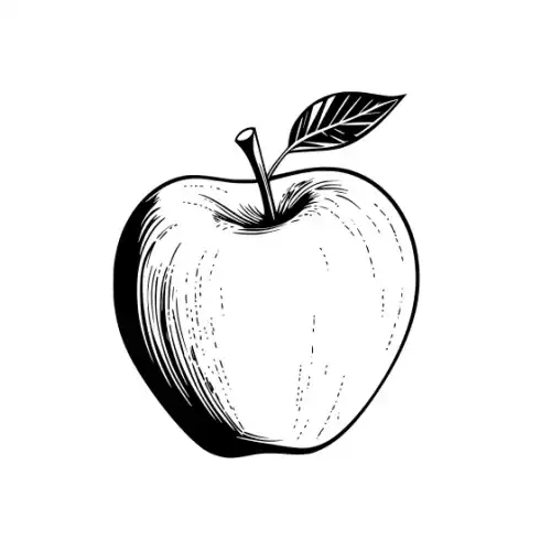 Apple Fruit Silhouette SVG Design | SVG Files for Cricut & Print