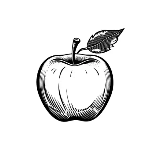 Apple Fruit Silhouette SVG Design | SVG Files for Cricut & Print