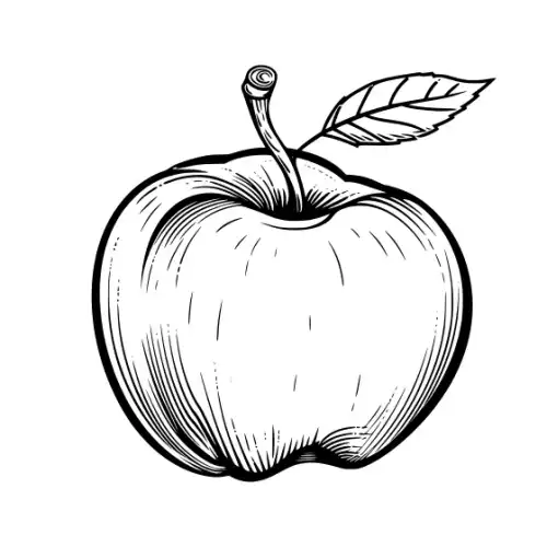 Apple Fruit Silhouette SVG Design | SVG Files for Cricut & Print