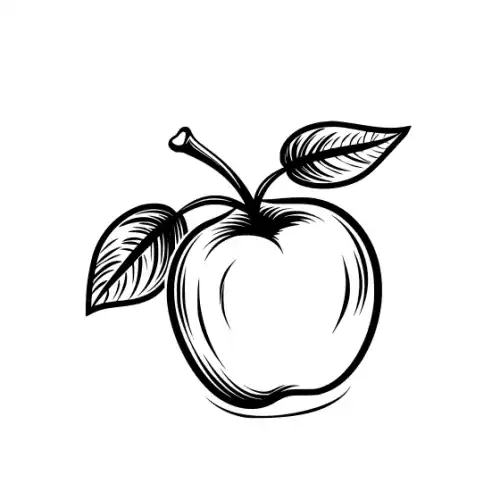 Apple Fruit Silhouette SVG Design | SVG Files for Cricut & Print