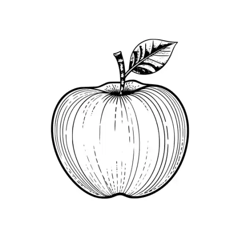 Apple Fruit Silhouette SVG Design | SVG Files for Cricut & Print