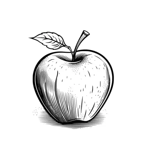 Apple Fruit Silhouette SVG Design | SVG Files for Cricut & Print