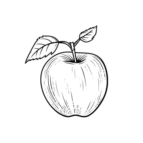 Apple Fruit Silhouette SVG Design | SVG Files for Cricut & Print