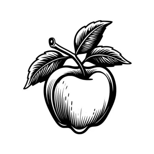 Apple Fruit Silhouette SVG Design | SVG Files for Cricut & Print