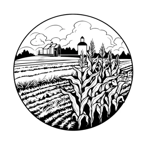 Autumn Harvest Silhouette SVG Design | SVG Files for Cricut & Print