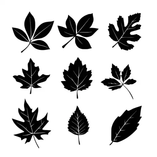 Autumn Leaves Silhouette SVG Design | SVG Files for Cricut & Print