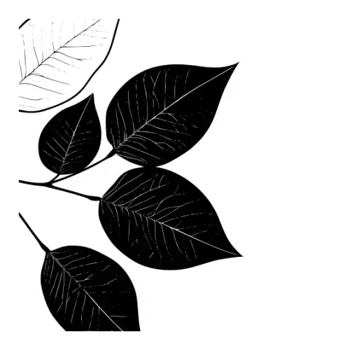 Autumn Leaves Silhouette SVG Design | SVG Files for Cricut & Print