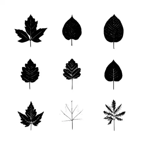 Autumn Leaves Silhouette SVG Design | SVG Files for Cricut & Print