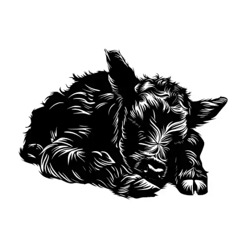 Baby Cow Highland Silhouette SVG Design | SVG Files for Cricut & Print