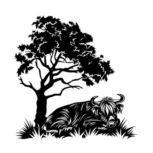 Baby Cow Highland Silhouette SVG Design | SVG Files for Cricut & Print